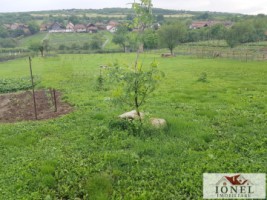 teren-intravilan-de-vanzare-in-henig-0