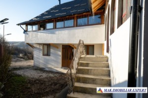 vila-6-camere-teren-3480-mp-in-piatra-stoenesti-arges-4