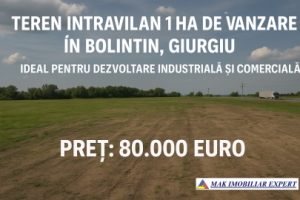teren-intravilan-1-ha-de-vanzare-in-bolintin-giurgiu-0
