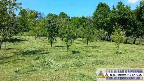 teren-1454-mp-intravilan-stoenesti