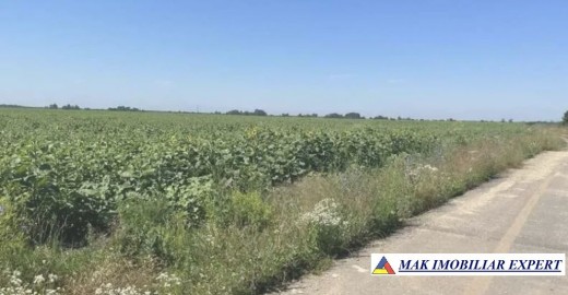 teren-2000-mp-extravilan-in-uliesti-dambovita-la-a1-km-64