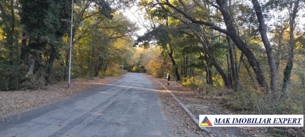 teren-1000-mp-intravilan-de-vanzare-in-mangalia-constanta-ideal-pentru-constructii