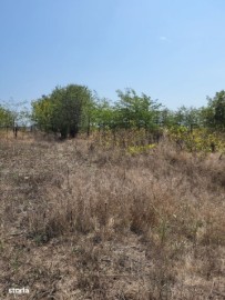teren-intravilan-agricol-de-vanzare-10000mp-tuzla-15euro-mp