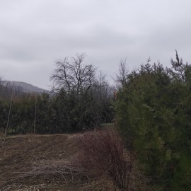 teren-intravilan-miroslava