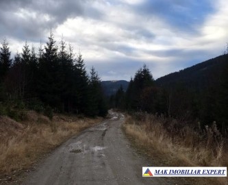 teren-intravilan-padure-424-ha-de-vanzare-in-malaia-valcea