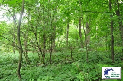 valcele-teren-intravilan-de-vanzare