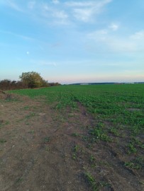 teren-de-vanzare