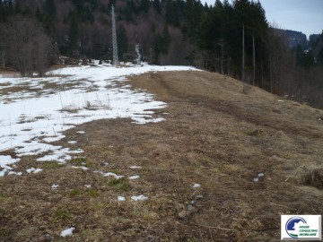 teren-intravilan-situat-in-predeal