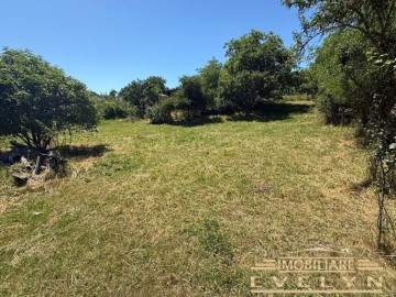de-vanzare-teren-intravilan-zona-tulbureni