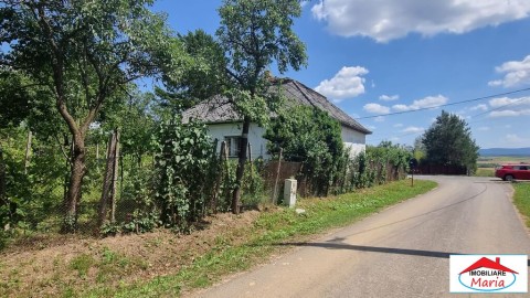teren-intravilan-650-mp-in-viile-satu-mare
