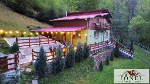 csa-de-vacanta-de-vanzare-in-strungari