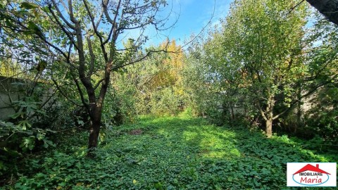 asociatie-apartament-4-camere-titulescu