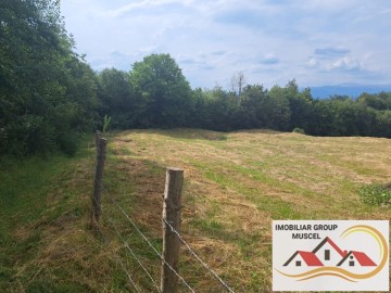 teren-intravilan-in-campulung-de-7684-mpcompus-din-2-loturi-alipite-deschidere-stradala-70mpret-7euromp