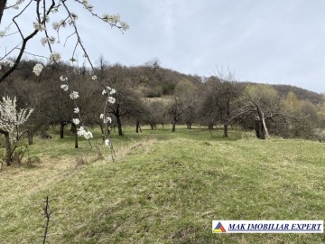 teren-22-ha-intraextravilan-in-corbi-arges