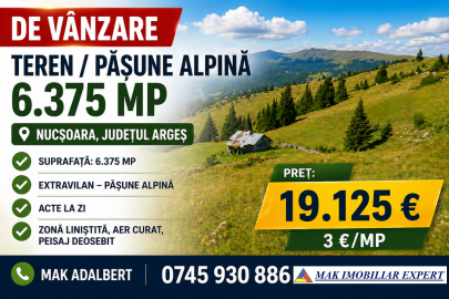 teren-pasune-alpina-6375-mp-in-nucsoara-arges