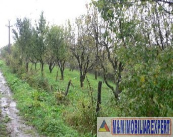 teren-1360-mp-intravilan-campulung-muscel-flamanda-arges