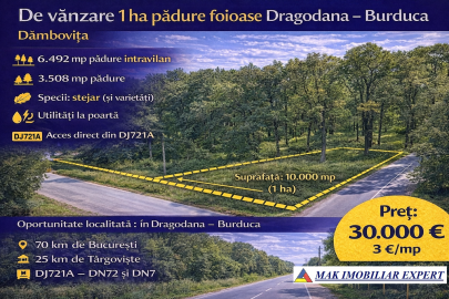 dublura-vanzare-padure-foioase-dragodana-dambovita