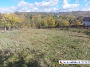de-vanzare-2-terenuri-3500-mp-in-berevoesti-ungureni-arges