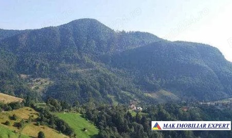 poieni-alpine-9-ha-in-albestii-de-muscel-arges