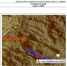 vand-extravilan-25-ha-1-ha-padure-in-botesti-arges