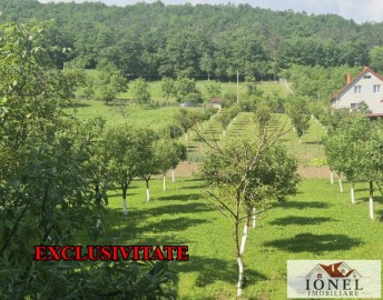 teren-intravilan-2292mp-de-vanzare-in-vintu-de-jos