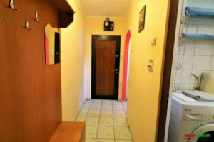 apartament-2-camere-de-inchiriat-in-sibiu-zona-ciresica-5