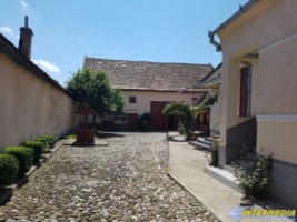 casa-de-vanzare-vintu-de-jos-cu-gradina-si-livada-16
