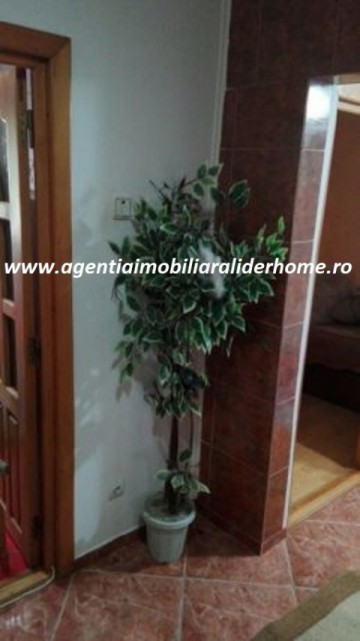 apartament-2-camere-de-inchiriat-zona-grivita-6