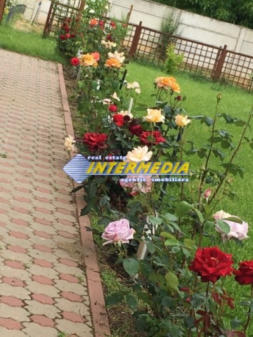 vila-noua-dp1-garaj-dublu-2-terase-mari-si-925-mp-teren-in-alba-iulia-cetate-finisata-25