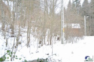 predeal-teren-intravilan-1000-mp-2
