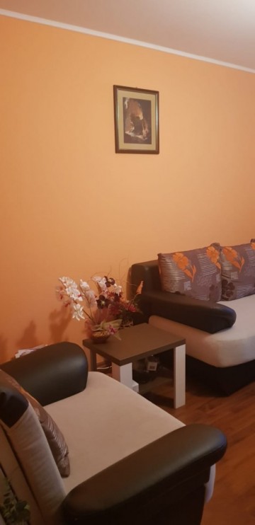 oferim-spre-vanzare-apartament-cu-doua-camere-1