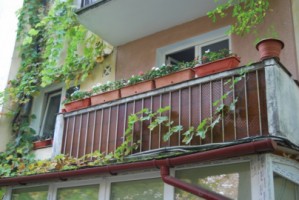 se-ofera-spre-vanzare-apartament-2-dormitoare-zona-7-noiembrie-targu-mures-4