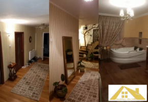 12-duplex-de-vanzarecu-mansarda-open-space-2