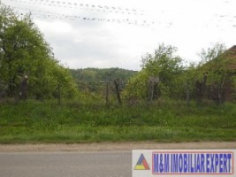 teren-economic-de-1400-mp-intravilan-de-vanzare-in-apa-sarata-campulung-muscel-arges
