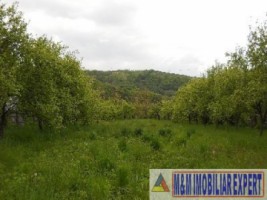 teren-economic-de-1400-mp-intravilan-de-vanzare-in-apa-sarata-campulung-muscel-arges-1
