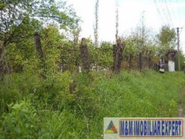 teren-economic-de-1400-mp-intravilan-de-vanzare-in-apa-sarata-campulung-muscel-arges-2