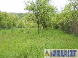 teren-economic-de-1400-mp-intravilan-de-vanzare-in-apa-sarata-campulung-muscel-arges-4