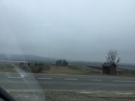 teren-agricol-50-ha-suceava-iacobesti-cu-deschidere-la-e85