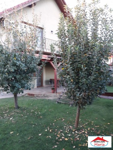 casa-noua-paulesti-cu-teren-750-mp-id-21373-2