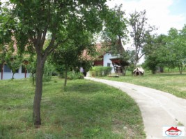 casa-de-vanzare-in-satu-mare-viile-satu-mare-id-16830