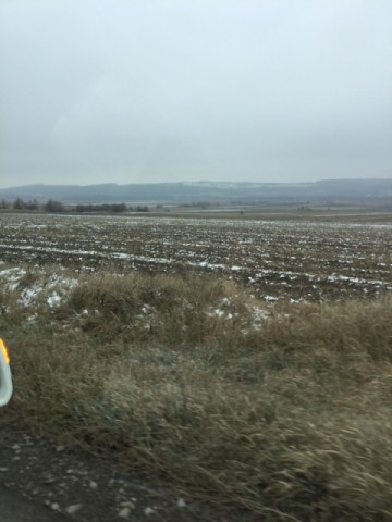 teren-agricol-arabil-liteni-rotunda-suceava-40-ha-compacte