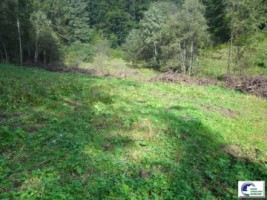 predeal-teren-intravilan-la-1200-de-metri-de-partie-1