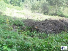 predeal-teren-intravilan-la-1200-de-metri-de-partie-2