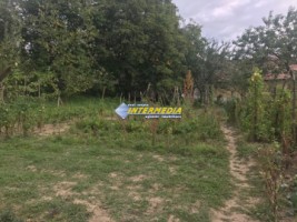 casa-frumoasa-cu-3-camere-de-vanzare-la-15-min-de-alba-iulia-cu-teren-de-1300-mp-21