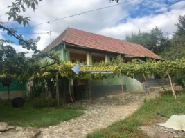 casa-frumoasa-cu-3-camere-de-vanzare-la-15-min-de-alba-iulia-cu-teren-de-1300-mp-24