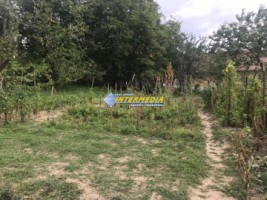 casa-frumoasa-cu-3-camere-de-vanzare-la-15-min-de-alba-iulia-cu-teren-de-1300-mp-25