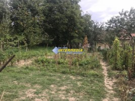 casa-frumoasa-cu-3-camere-de-vanzare-la-15-min-de-alba-iulia-cu-teren-de-1300-mp-23