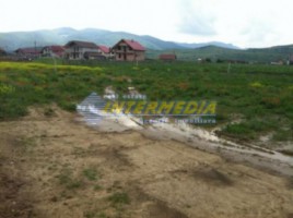 teren-de-vanzare-zona-sard-parcele-cuprinse-intre-750-mp-si-1300-mp-toate-utilitatile-1
