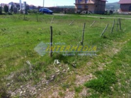 teren-intravilan-situat-intre-alba-si-micesti-1
