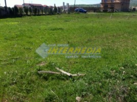 teren-intravilan-situat-intre-alba-si-micesti-3